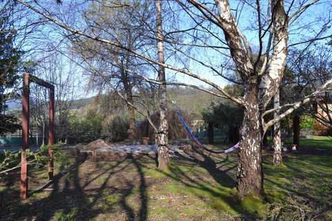 Whispering Spirit Holiday Cottages & Mini Ponies - Kawana Tourism 11