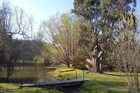 Whispering Spirit Holiday Cottages & Mini Ponies - Kawana Tourism 12