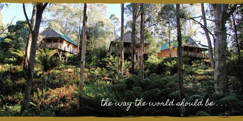Lemonthyme Wilderness Retreat - Kawana Tourism 20