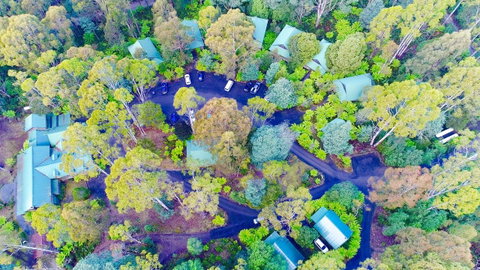 Lemonthyme Wilderness Retreat - Kawana Tourism 1
