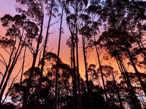 Lemonthyme Wilderness Retreat - Kawana Tourism 8