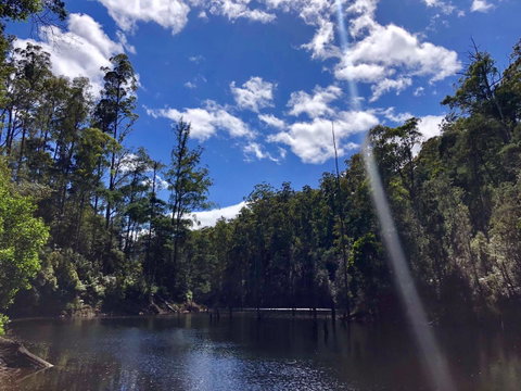 Lemonthyme Wilderness Retreat - Kawana Tourism 7