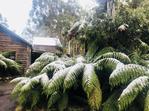 Lemonthyme Wilderness Retreat - Kawana Tourism 5