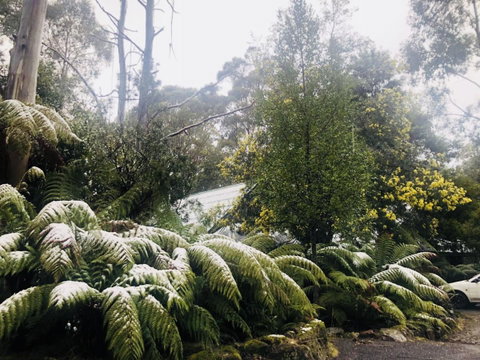 Lemonthyme Wilderness Retreat - Kawana Tourism 16