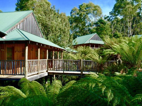 Lemonthyme Wilderness Retreat - Kawana Tourism 11