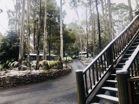 Lemonthyme Wilderness Retreat - Kawana Tourism 15