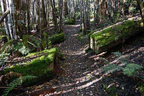 Lemonthyme Wilderness Retreat - Kawana Tourism 22