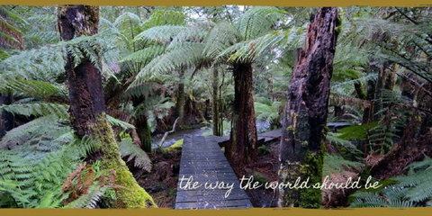 Lemonthyme Wilderness Retreat - Kawana Tourism 17