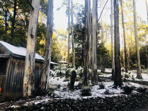 Lemonthyme Wilderness Retreat - Kawana Tourism 6