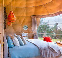 Domescapes in the Vines - Kawana Tourism