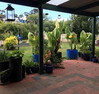 Blue Wren Bungalow - Kawana Tourism