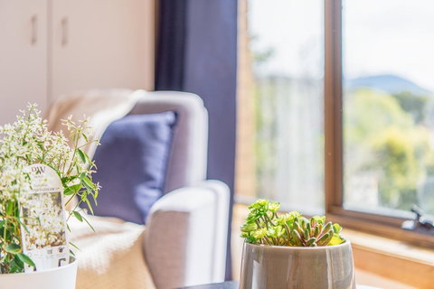 Vintage Cuddle Guest House - Kawana Tourism 2