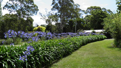 Tamar River Retreat - Kawana Tourism 11