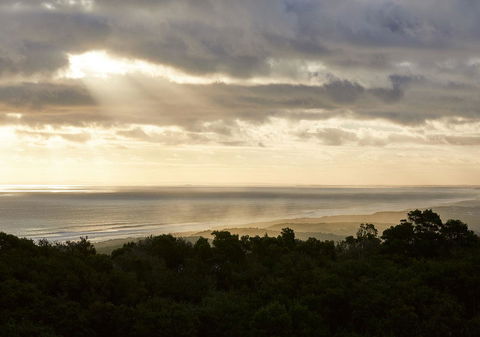 RACV Cape Schanck Resort - Kawana Tourism 6