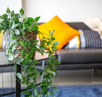 Brand New One/Two - Bed Room Apartment  Maribyrnong - Kawana Tourism