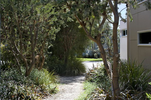 BIG4 Ingenia Holidays Queenscliff Beacon - Kawana Tourism 13