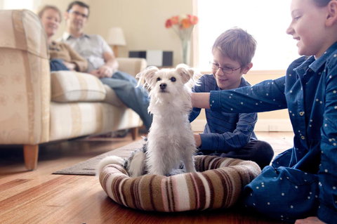 Boutique Stays Sandyside- Sandringham Villa Units - Kawana Tourism 6