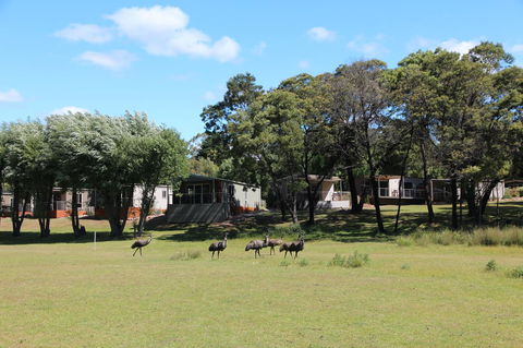 Halls Gap Lakeside Tourist Park - Kawana Tourism 1
