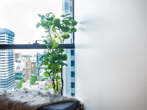 LittleStay Eporo - Central Apartments - Kawana Tourism 14
