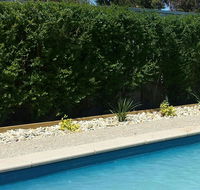 Robinvale Bridge Motel - Kawana Tourism