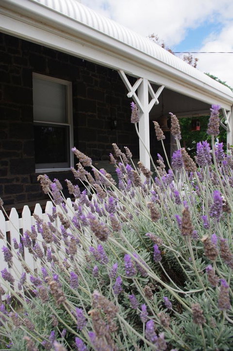 Little River Bed And Breakfast - Kawana Tourism 30