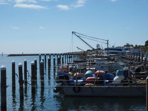 Port Relaxation - Kawana Tourism 13