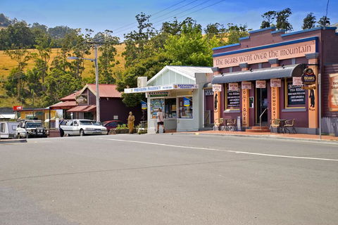 The Bears Went Over The Mountain - Kawana Tourism 2