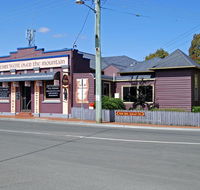 The Bears Went Over The Mountain - Kawana Tourism