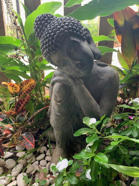 Tranquil Spa Retreat - Kawana Tourism 3