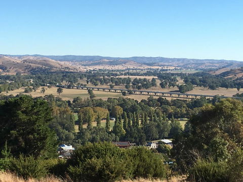 Tuckerbox Motor Inn - Kawana Tourism 3