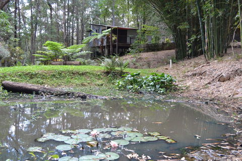 Turmeric Gardens - Kawana Tourism 3
