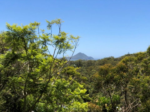 Ullora Road 38 - Kawana Tourism 2