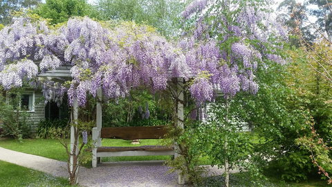 Amelina Cottages - Kawana Tourism 0