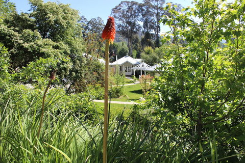 Amelina Cottages - Kawana Tourism 23