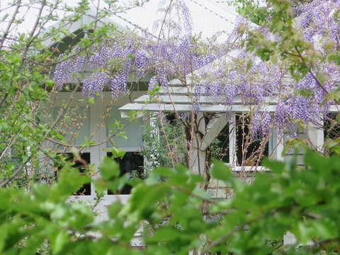 Amelina Cottages - Kawana Tourism 5