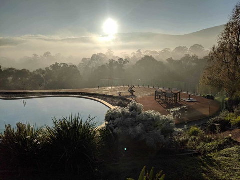 Kangaroo Manor - Kawana Tourism 6