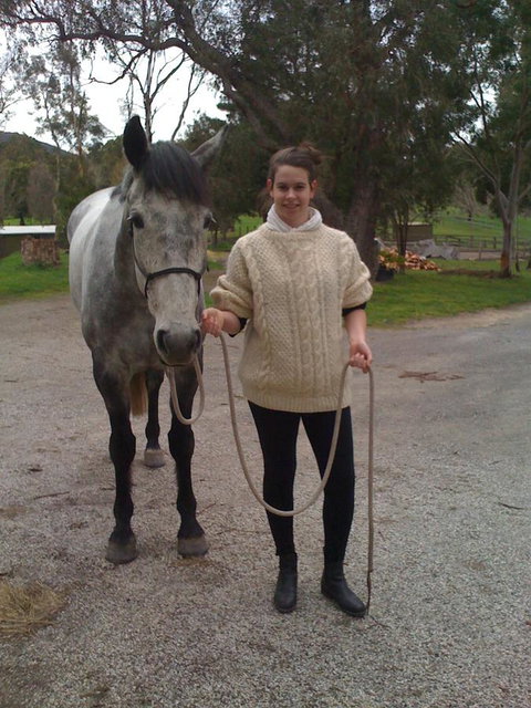 Kangaroo Manor - Kawana Tourism 16