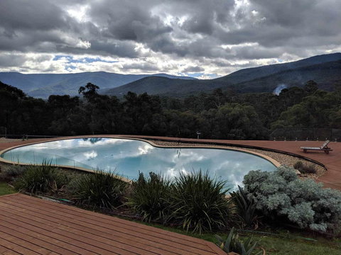 Kangaroo Manor - Kawana Tourism 7