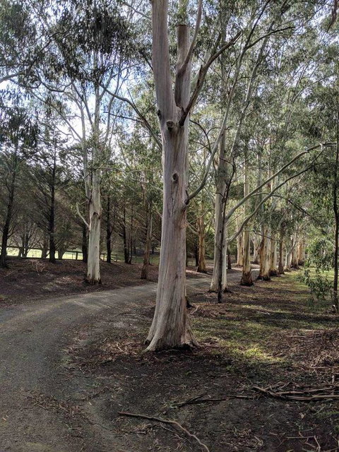 Kangaroo Manor - Kawana Tourism 10