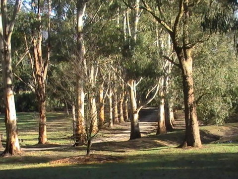 Kangaroo Manor - Kawana Tourism 21