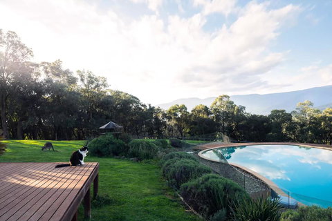 Kangaroo Manor - Kawana Tourism 23