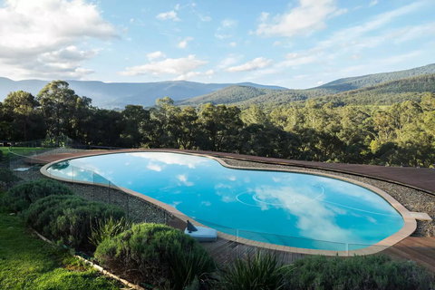 Kangaroo Manor - Kawana Tourism 27