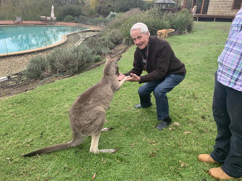 Kangaroo Manor - Kawana Tourism 13