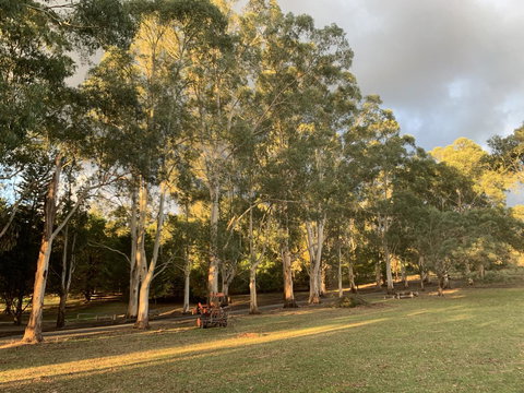 Kangaroo Manor - Kawana Tourism 15