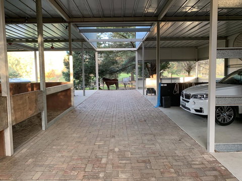 Kangaroo Manor - Kawana Tourism 1