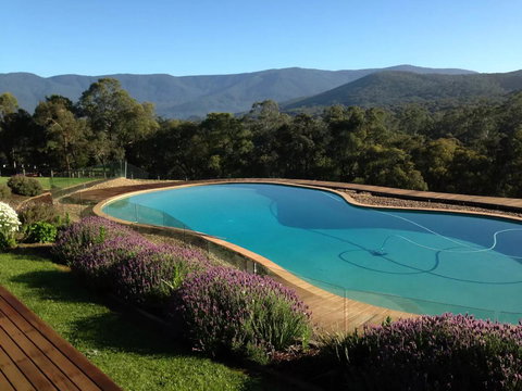 Kangaroo Manor - Kawana Tourism 14