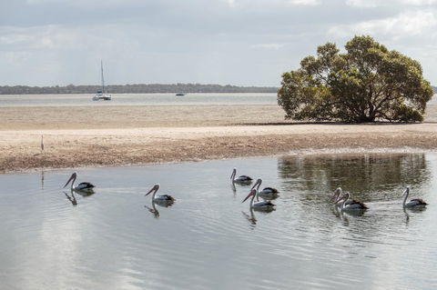 BIG4 Breeze Holiday Parks - Rainbow Beach - Kawana Tourism 32