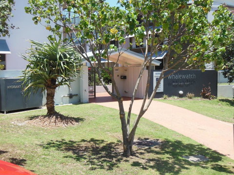 Whale Watch Ocean Beach Resort - Kawana Tourism 14