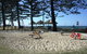 Alex Beach Cabins And Tourist Park - thumb 43
