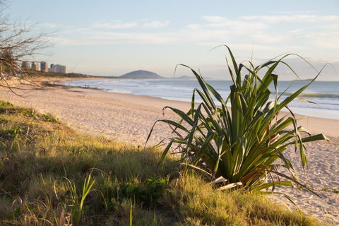 Northpoint Holiday Apartments - Kawana Tourism 1